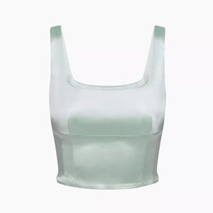 Aritzia Wilfred Shine Bustier Top